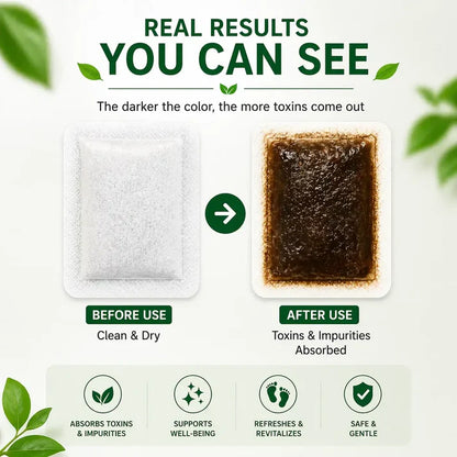Herbal Ingredient Detox Foot Pads (PACK OF 2)