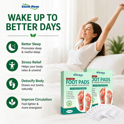 Herbal Ingredient Detox Foot Pads (PACK OF 2)